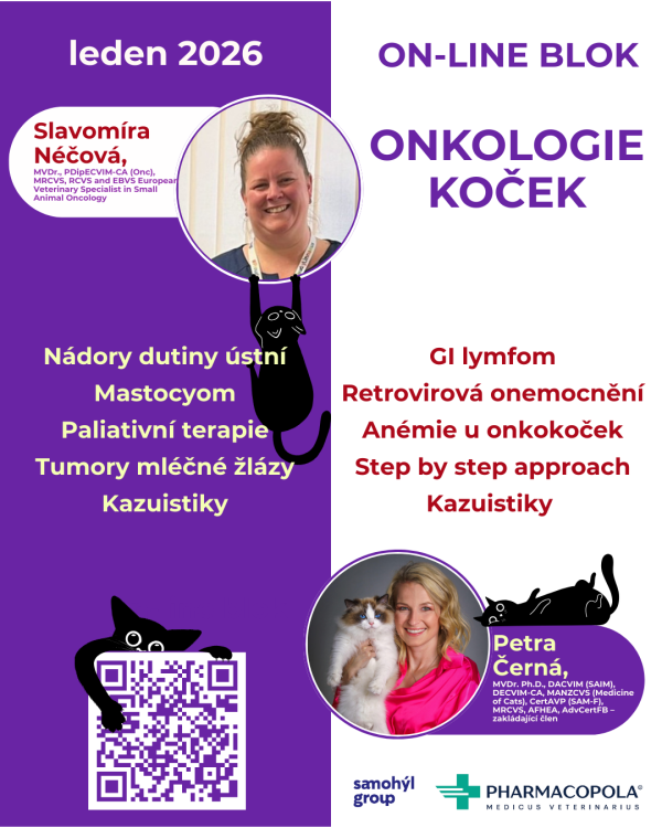 VAKPO instagram (34)